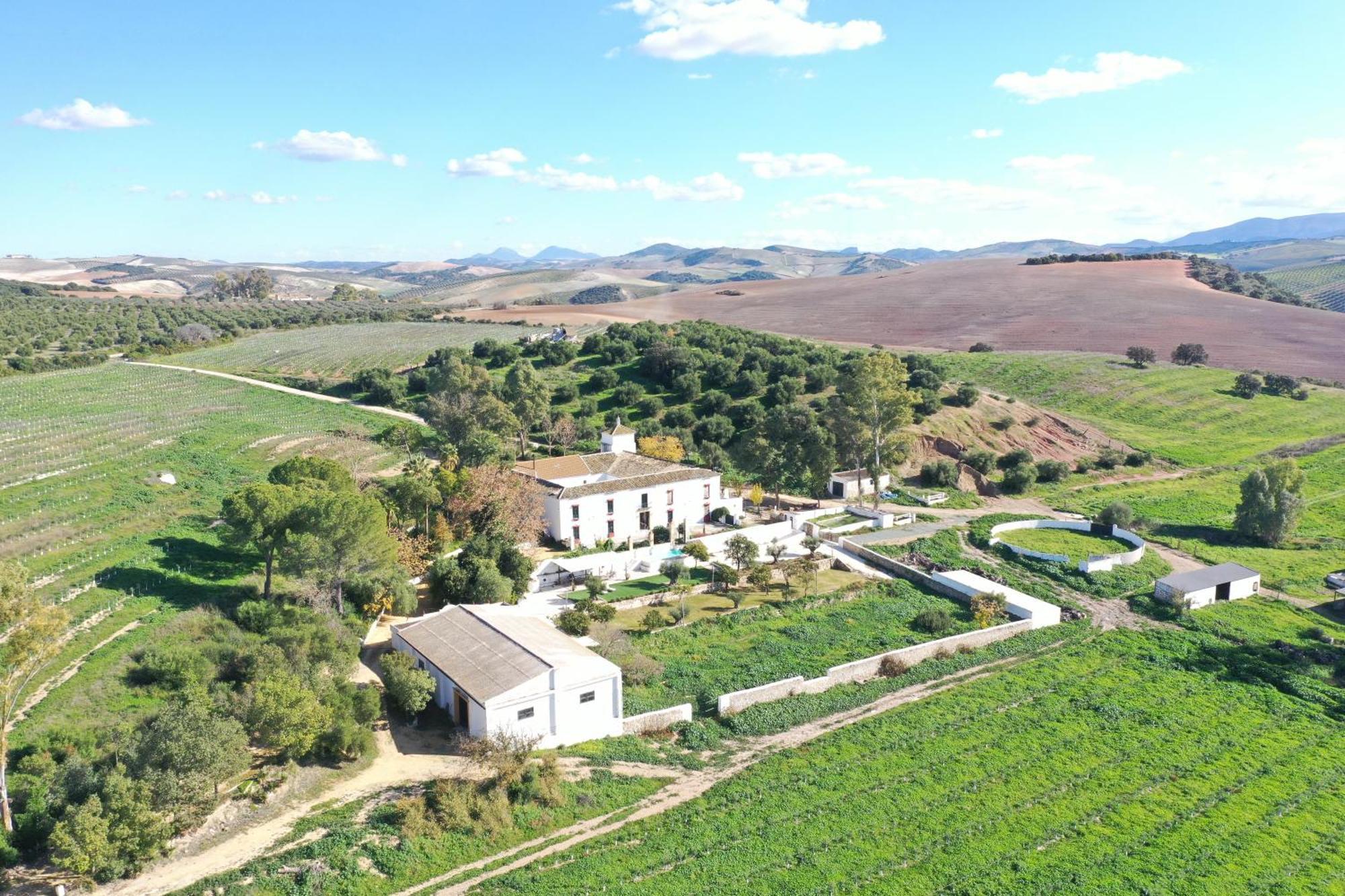 Hacienda Las Lumbreras Montellano Buitenkant foto